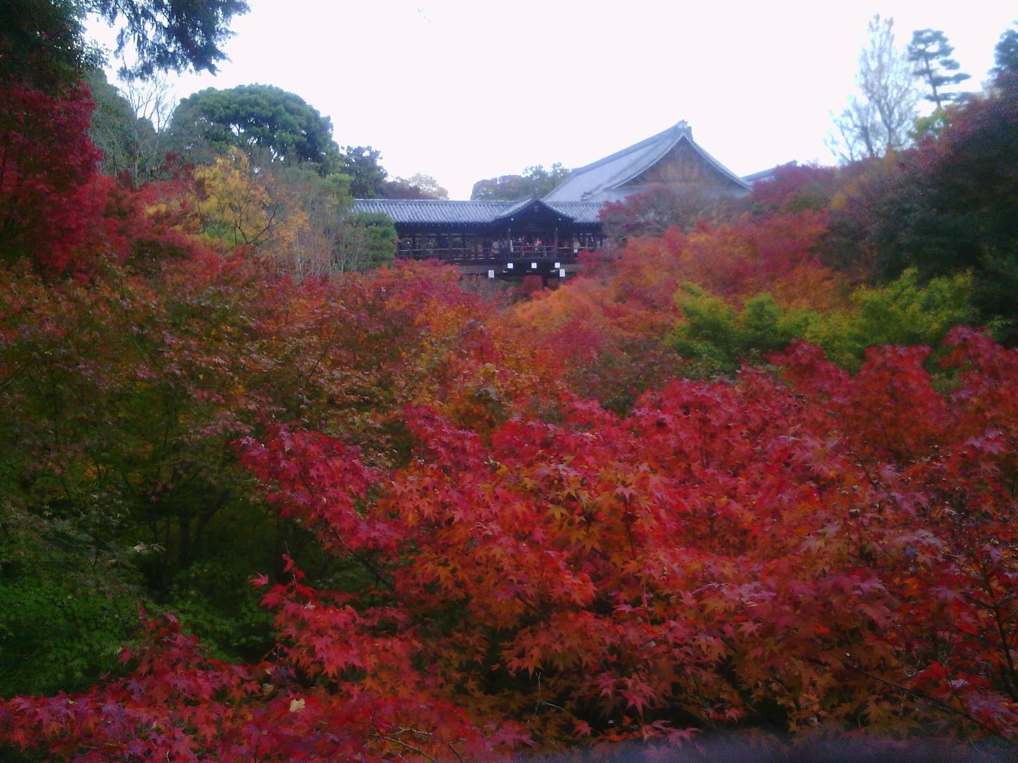 Kamuroan Kyōto Esterno foto