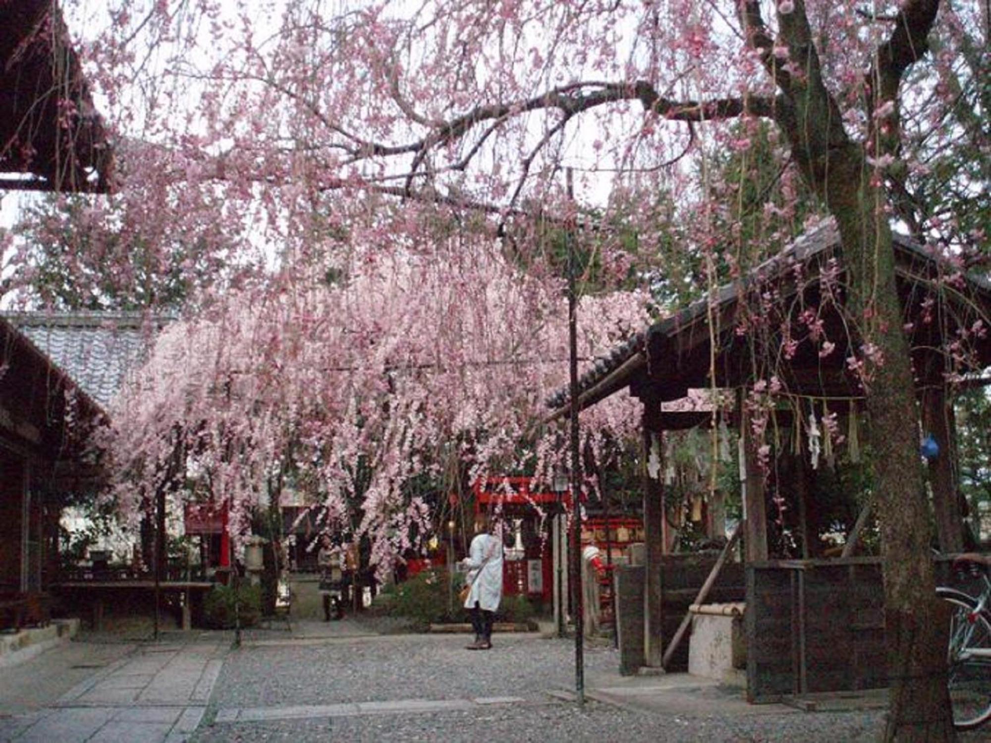 Kamuroan Kyōto Esterno foto